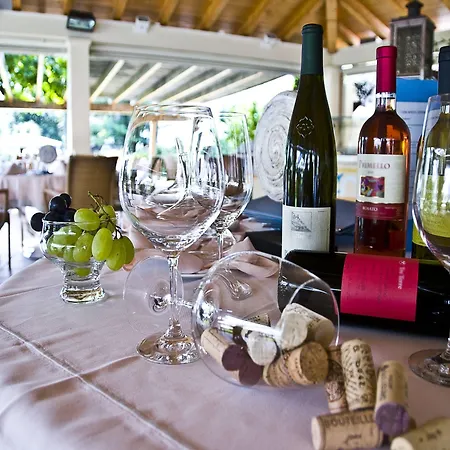 Otel Parkhotel Delta, Wellbeing Resort 4*