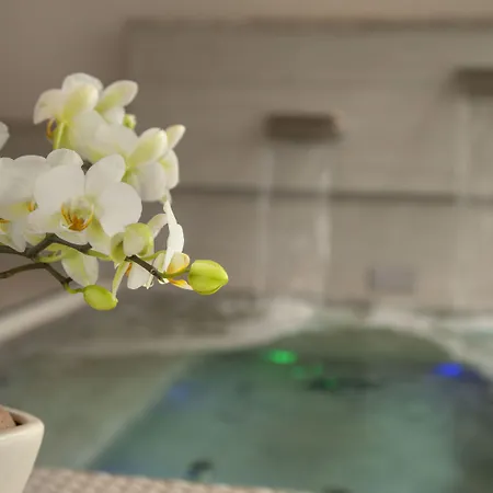 Parkhotel Delta, Wellbeing Resort Ascona