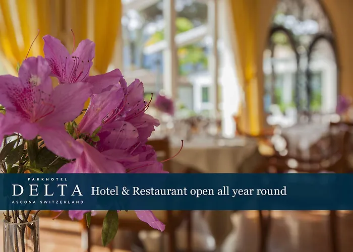 ホテル パークホテル デルタ ウェルビーング 4*