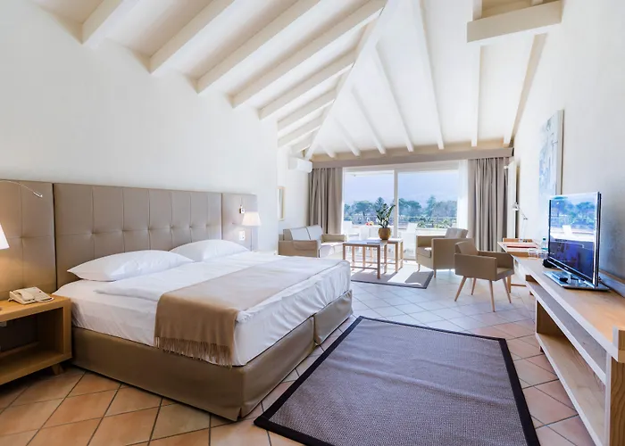 ホテル パークホテル デルタ ウェルビーング アスコナ