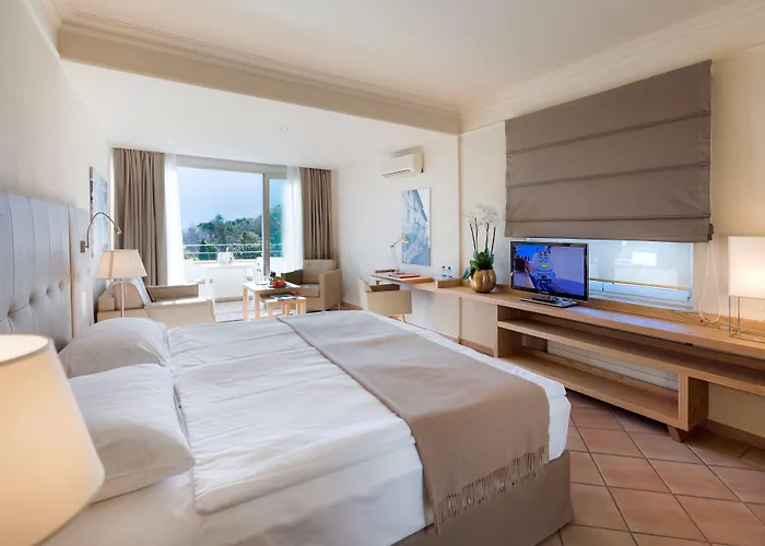 ホテル パークホテル デルタ ウェルビーング 4*